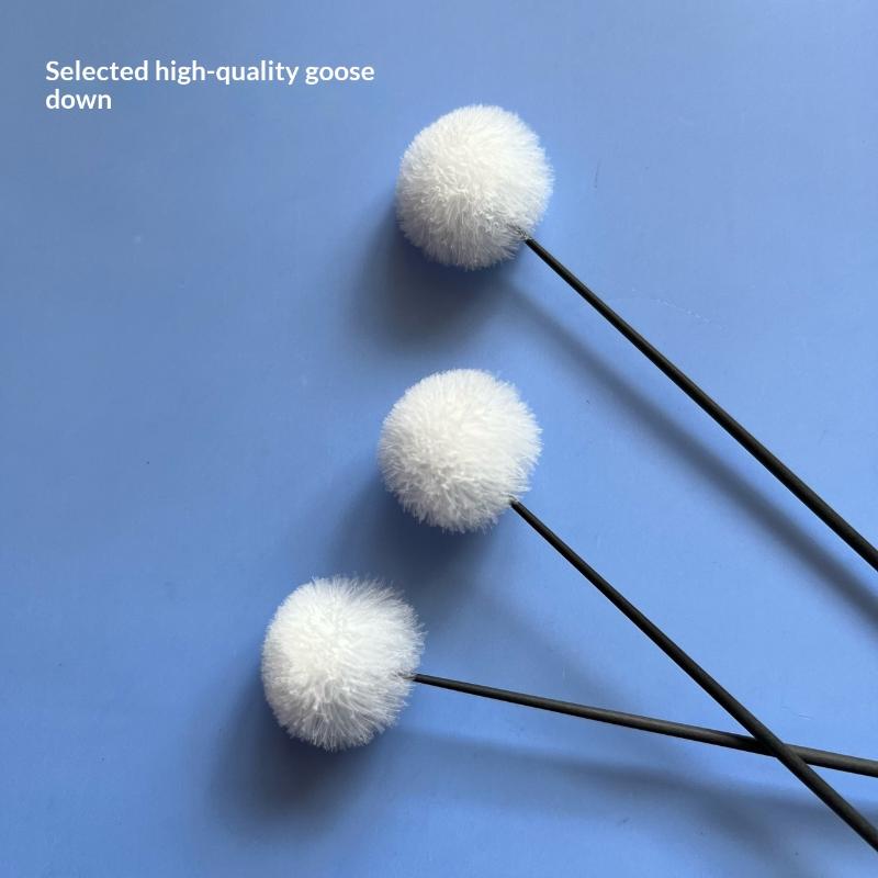 Set di 5 Pezzi per la Pulizia  - Ear Wax Remover recensione e prezzo
